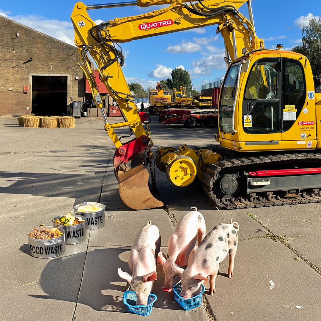 BACON NEWS: Forget multiple bin day, ‘The Q-Pigs’ will eat staff leftovers
